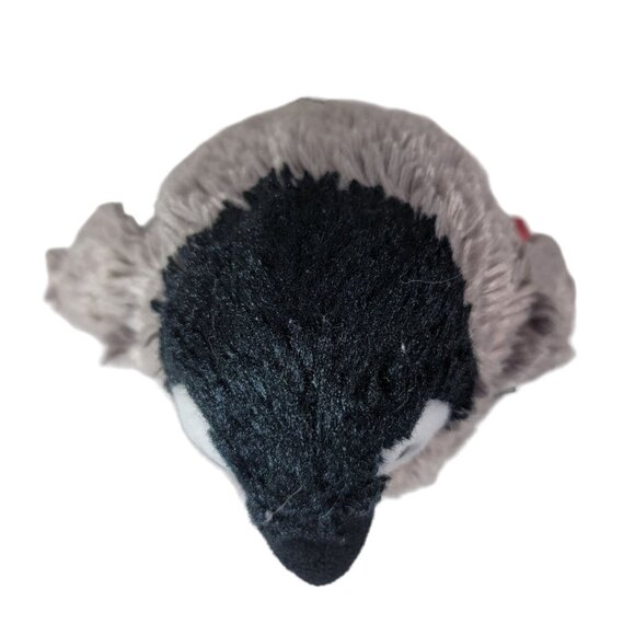 2/$15 Douglas Realistic Penguin Plush Chick Cuddles Gray Black 6.5" 2017 #3787 - Picture 6 of 10